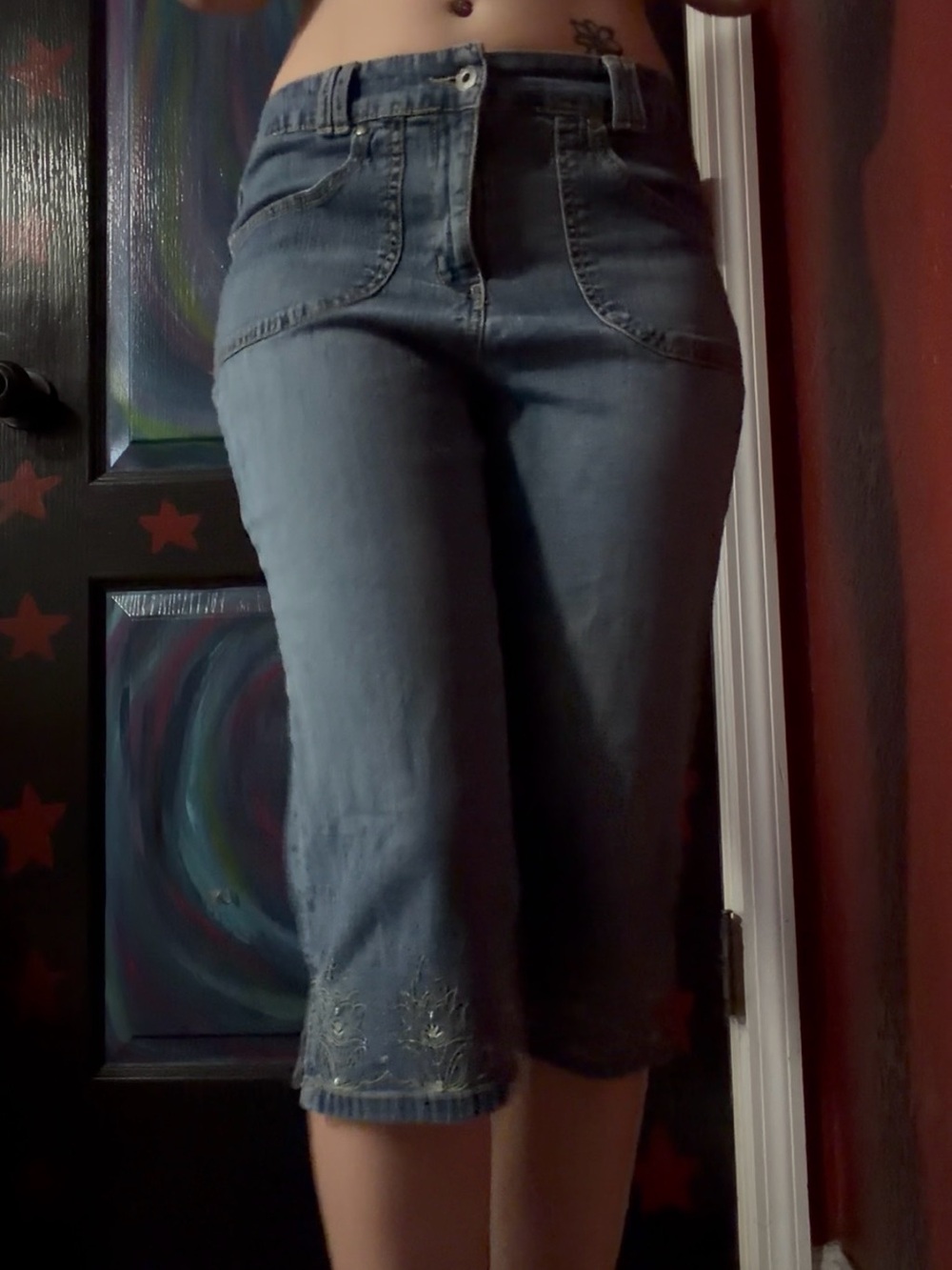Gloria Vanderbilt Blue Embroidered Capri Jeans